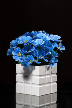 蓝色盆景鲜花