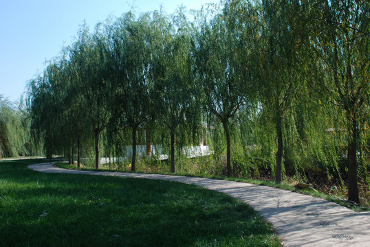 水高庄园 小路 S形小路 弯路