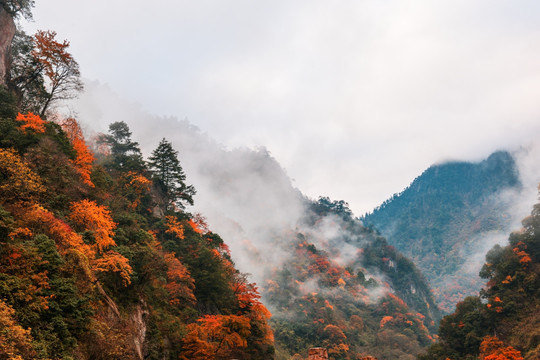 雾山