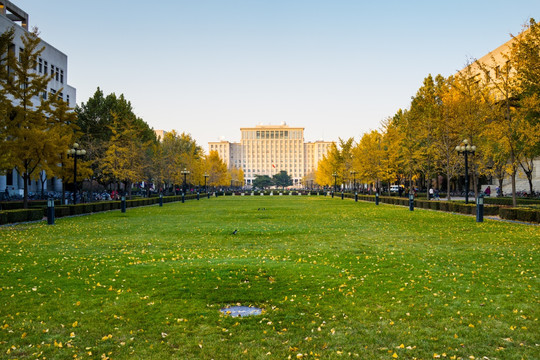 清华大学