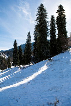 天山雪景