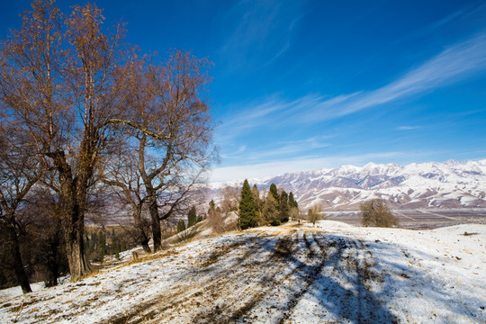 高原雪景