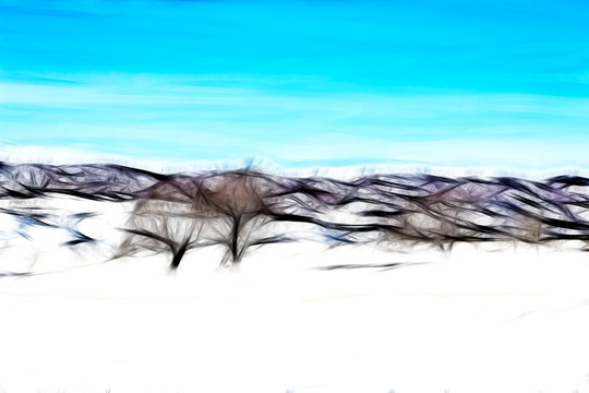 装饰画