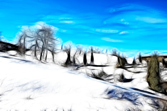 装饰画  森林雪景