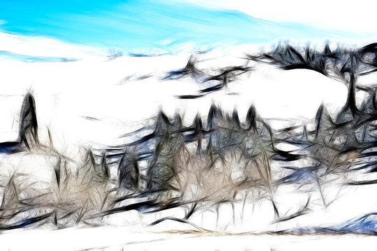装饰画  风景