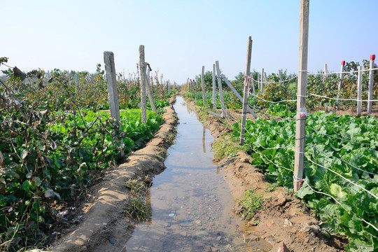 农田水利 水沟