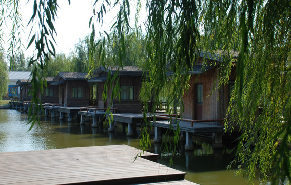 水高庄园  木屋 水面 树木