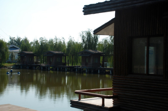 水高庄园  木屋 水面 树木