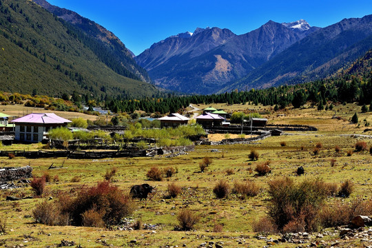 西藏乡村