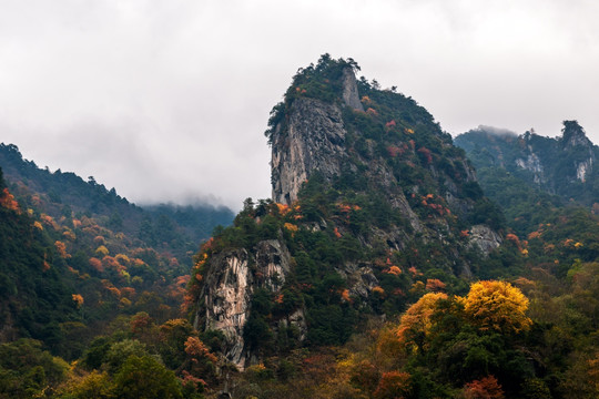 油墨山水