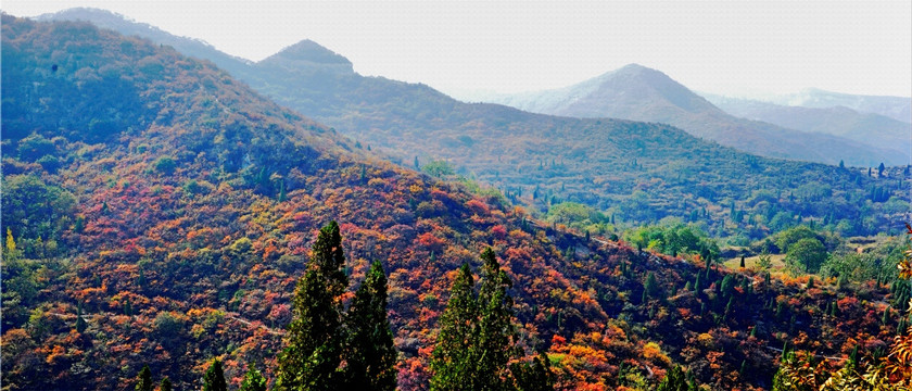 秋色 山川（高清）