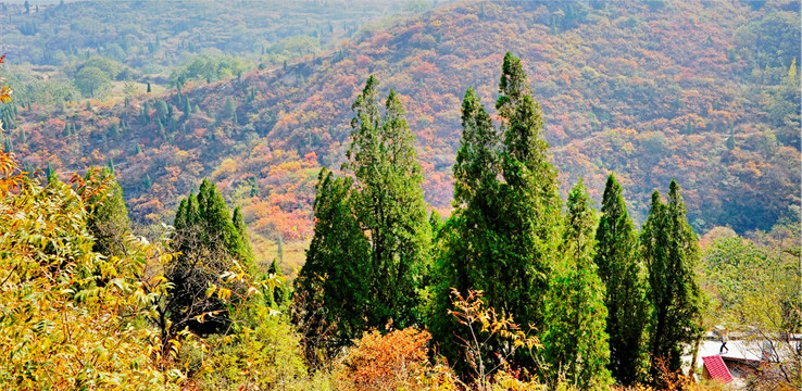 秋色 山川（高清）