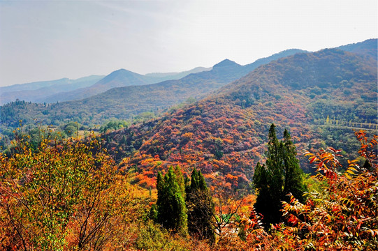 秋色 山川（高清）