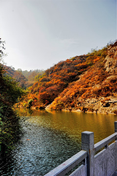 秋色 山川（高清）