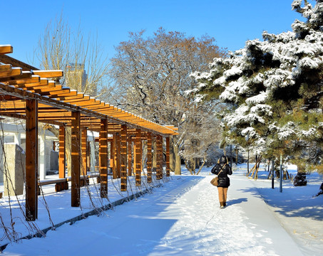 城市雪景