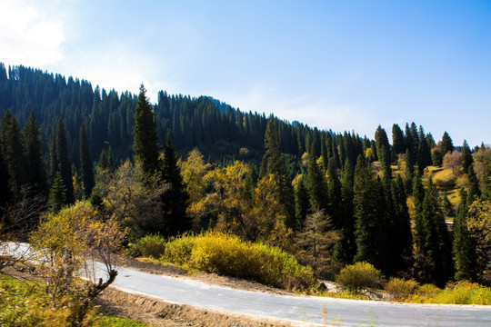 高山公路