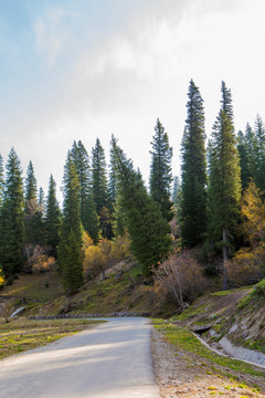 山路