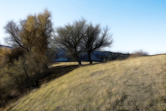 装饰画  风景