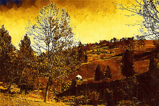 装饰画  自然风景