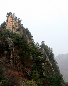 伏牛山老界岭景区风光