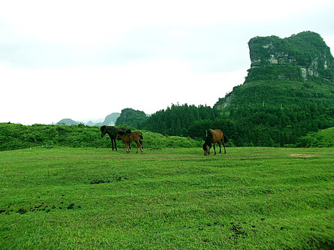 美丽山水风景（非高清）