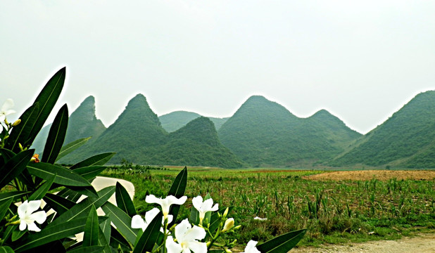 风景
