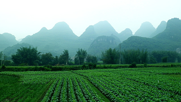 风景