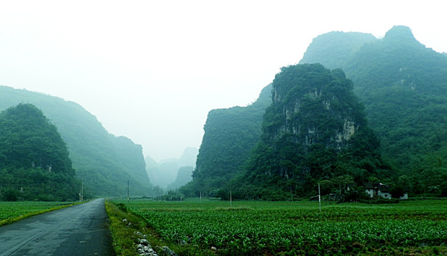 风景