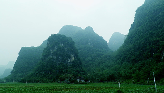风景
