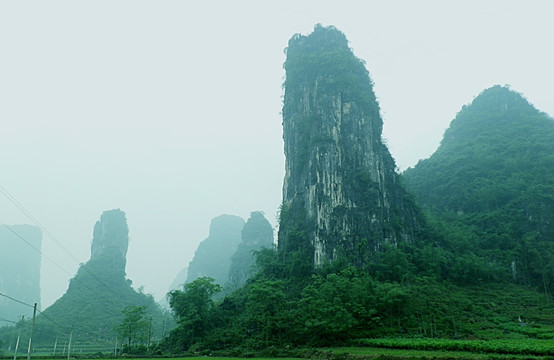 风景