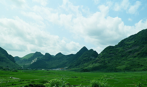 风景