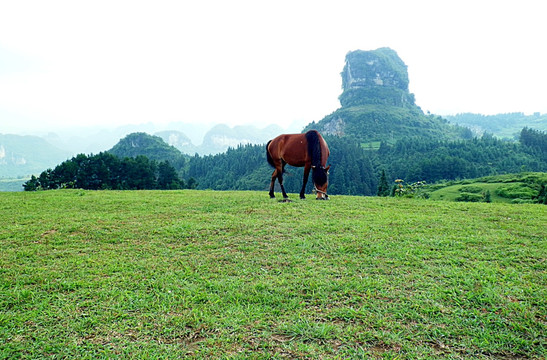 风景