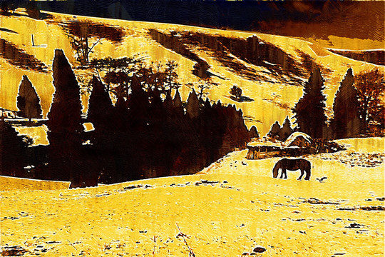 风景油画   装饰画