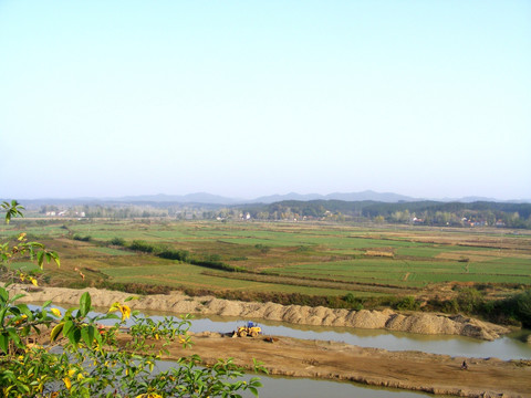 田野