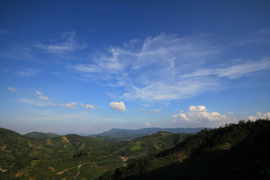 乡村风景