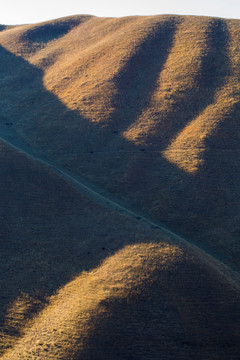 山坡