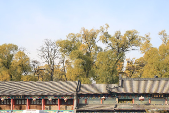 晋祠
