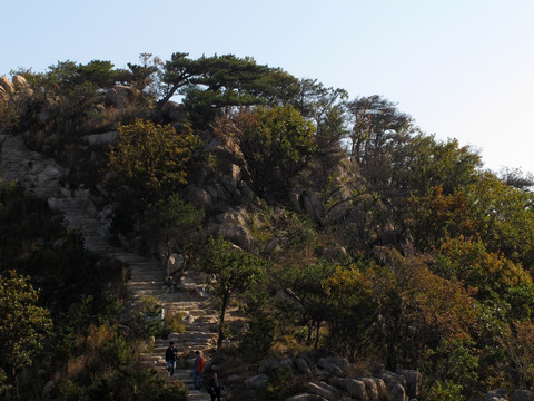 盘山  山脉 树木 植被 山路