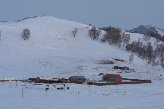 冬日牧场 围栏 农舍 丘陵