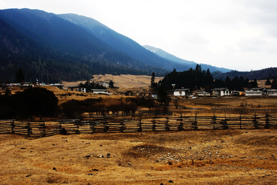 高山牧场