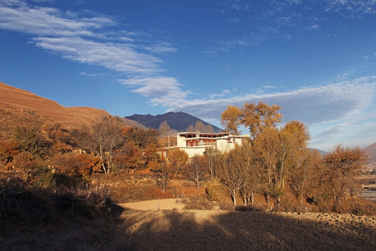 晨光中的藏族民居
