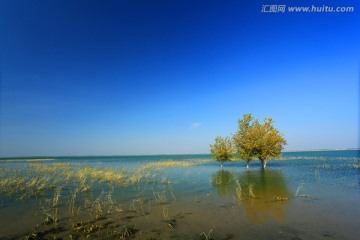 向海保护区湖泊