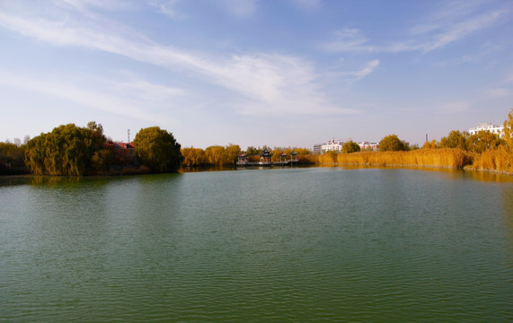 湖景秋色