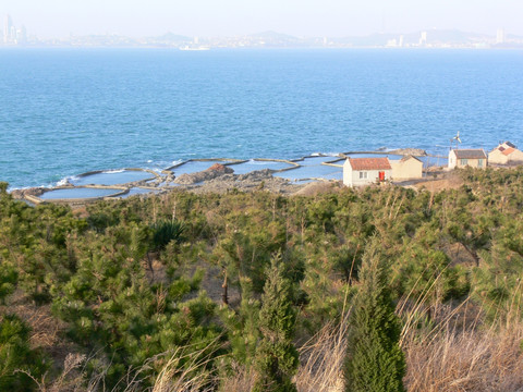 海滩
