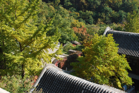 屋顶 盘山 建筑 古建筑