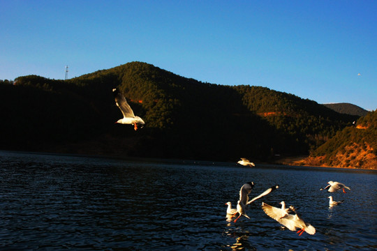 泸沽湖