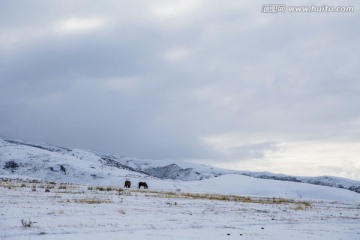 雪景