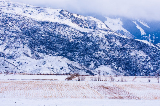 雪