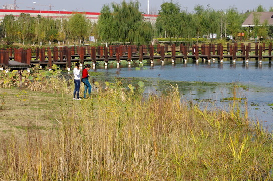 滁州菱溪公园 湿地公园一角
