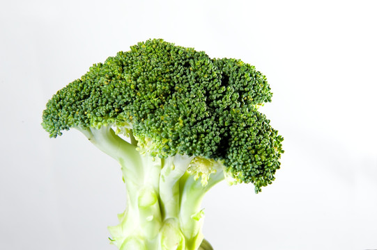 花椰菜